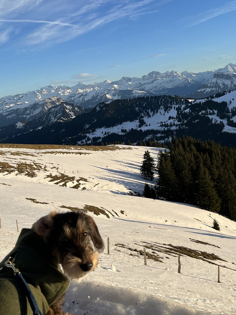 Der erste Ausflug auf die Rigi