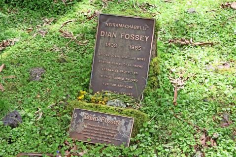 06-dian-fossey-grab.jpg