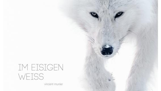 Cover "im eisigen Weiss"