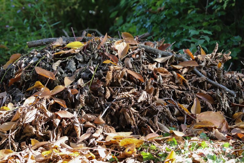 Ein winterfestes Haus für den Igel