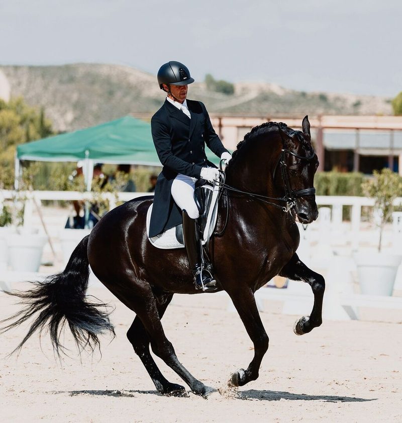 Andrea Domigs Zuchthengst Negrito de Andaluz steht in Spanien.