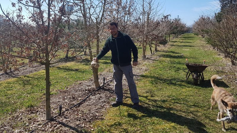 Mit dem Trüffelhund im Thurgau