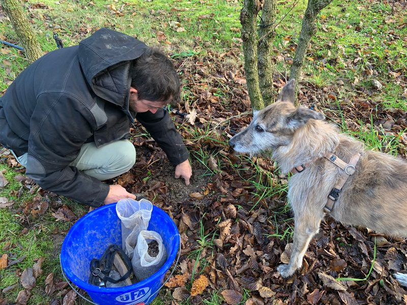 Mit dem Trüffelhund im Thurgau