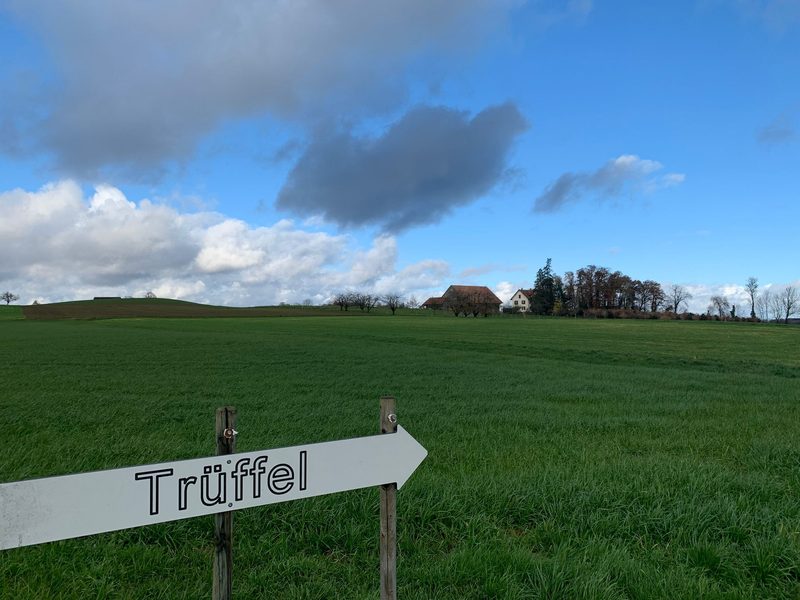 Mit dem Trüffelhund im Thurgau