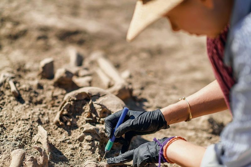 Ein häufiges Einsatzfeld von Archäologiehunden sind historische Grabstätten.