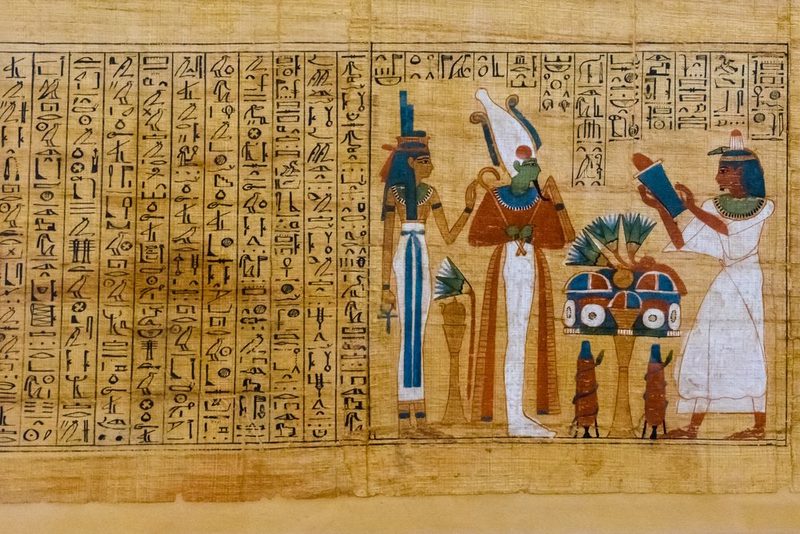 Papyrus und Zypergras