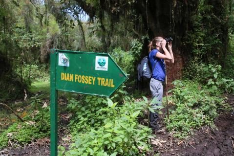 05-dian-fossey-trail.jpg