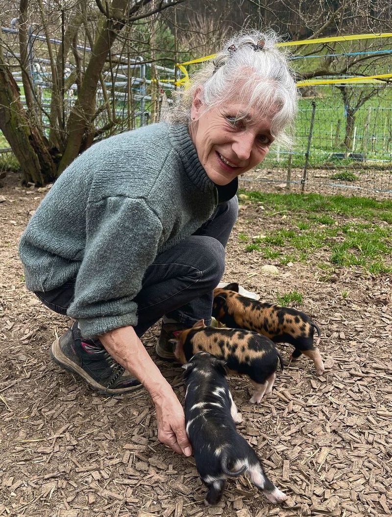 Die neugierigen Kunekune-Ferkel lassen sich bereitwillig von Erika Kühne kraulen.