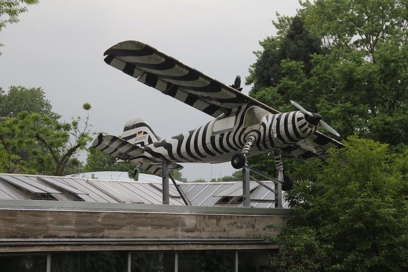 Die 8 besten Zoos in Deutschland und Frankreich für einen Tagesausflug
