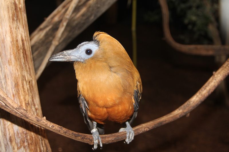 Die 8 besten Zoos in Deutschland und Frankreich für einen Tagesausflug