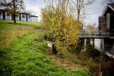Hühnerhof Fischenrüti