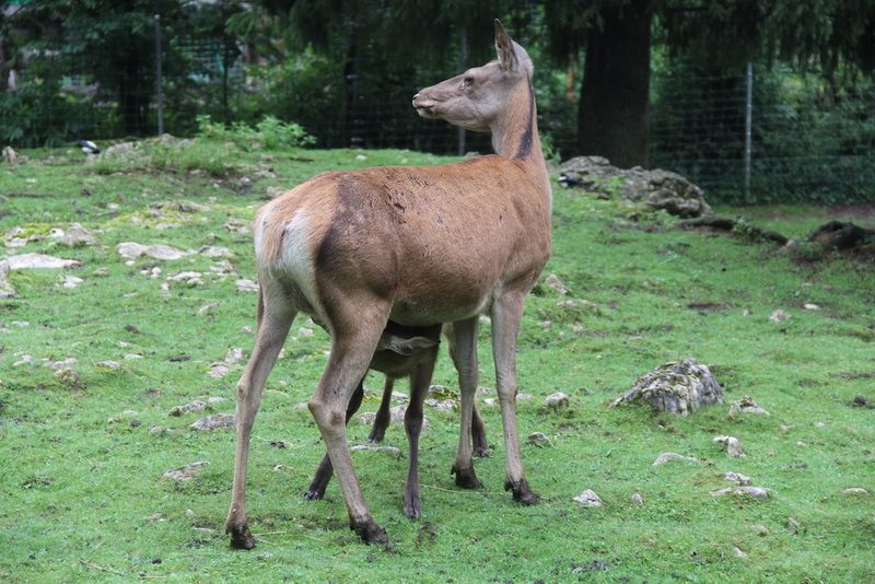 Was es im Jura zu sehen gibt