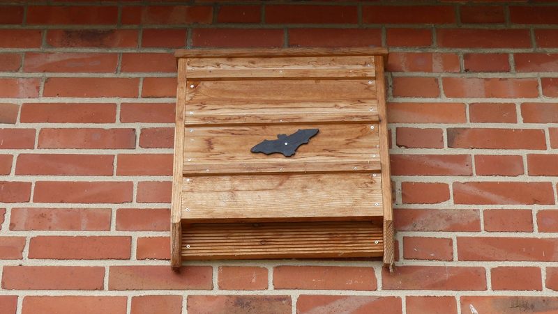 Vielfältige tierische Mitbewohner – Tipps zur Förderung nützlicher Wildtiere rund um Haus und Garten