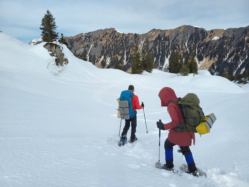 Von Iglus, Schneehöhlen und Co.: Survival Kurs im Winter