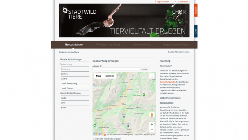 Meldepalttform StadtWildTiere