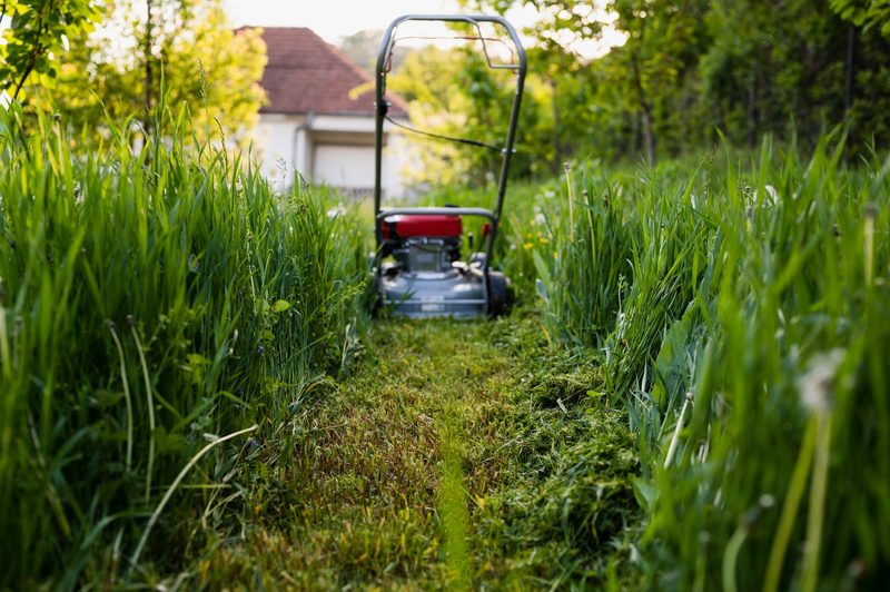 Gartenarbeit im Frühling: Diese Aufgaben sollten Sie jetzt erledigen