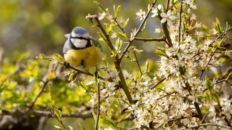 Gartenarbeit im Frühling: Diese Aufgaben sollten Sie jetzt erledigen