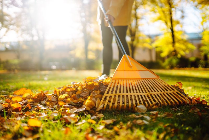 Gartenarbeit im Frühling: Diese Aufgaben sollten Sie jetzt erledigen