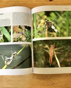 Insektenbuch