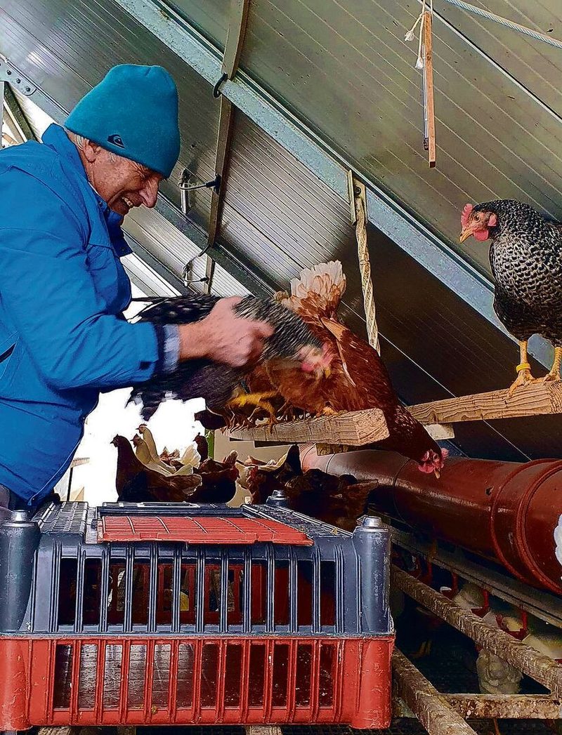 Ein Altersheim mit Charakter einer landwirtschaftlichen Grossfamilie