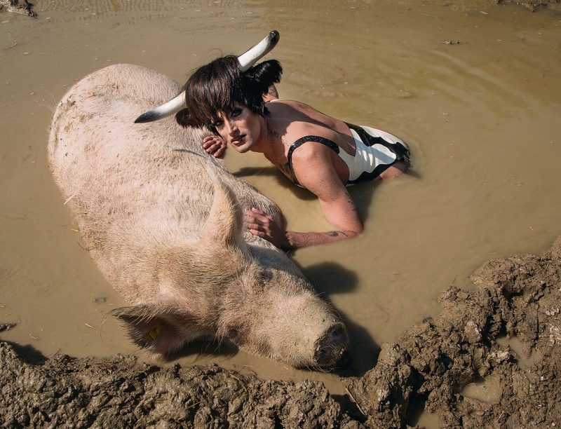 Auf Tuchfühlung: Soya fühlt sich beim Schlammbad mit dem Schwein Bo sauwohl.
