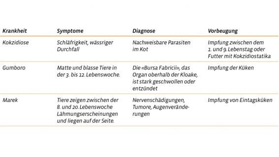 Tabelle Geflügelkrankheiten