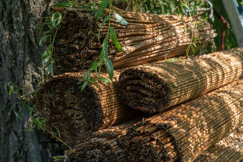 Der Biodiversitätsaward geht nach Ulmiz