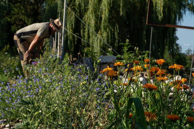 Der Biodiversitätsaward geht nach Ulmiz