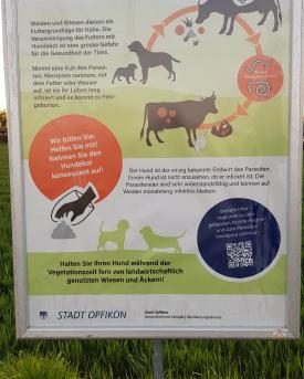 Plakat zum Hundekot in Opfikon