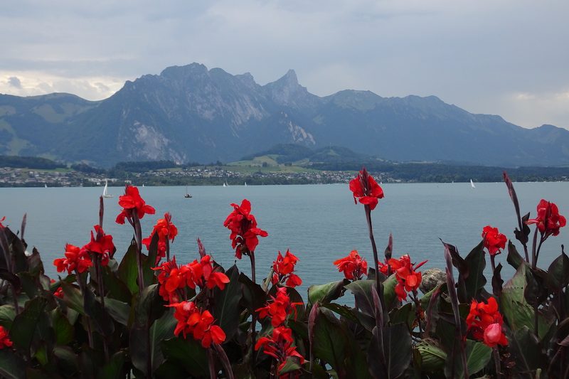 Der Schlosspark Oberhofen am Thunersee