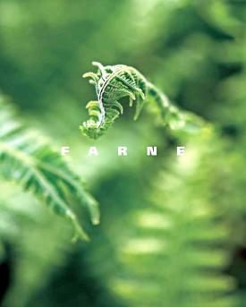 Cover Farnbuch