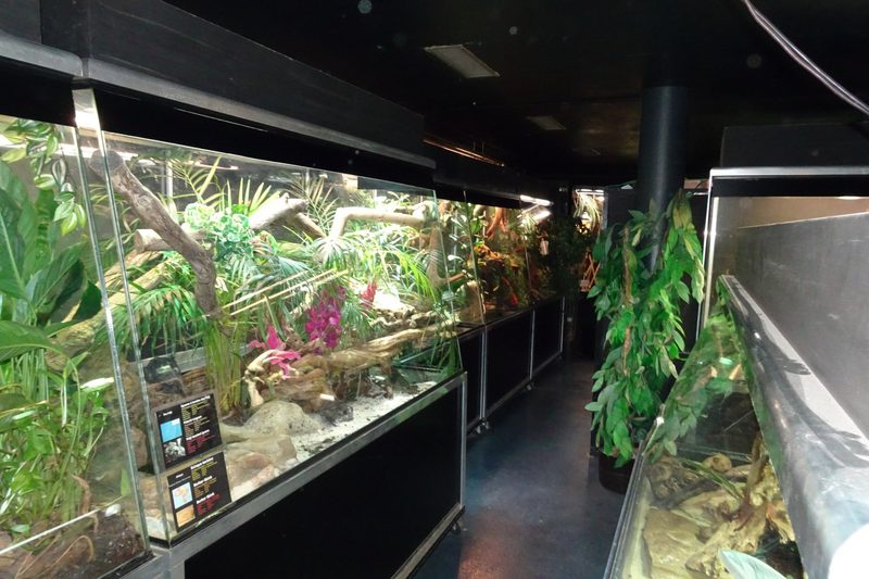 Das Vivarium de Meyrin als Ausflugsziel