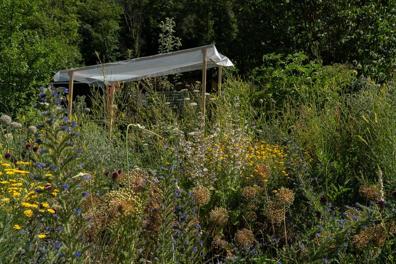 Julia Köwitzsch: Naturnaher Schrebergarten