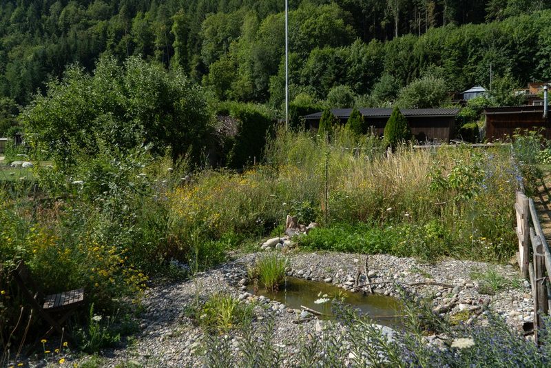 Julia Köwitzsch: Naturnaher Schrebergarten