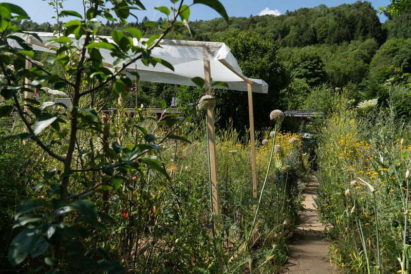 Julia Köwitzsch: Naturnaher Schrebergarten