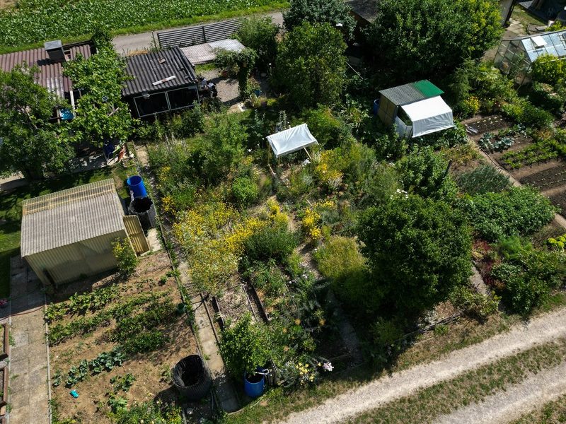 Julia Köwitzsch: Naturnaher Schrebergarten