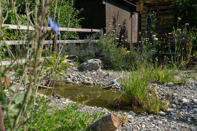 Julia Köwitzsch: Naturnaher Schrebergarten
