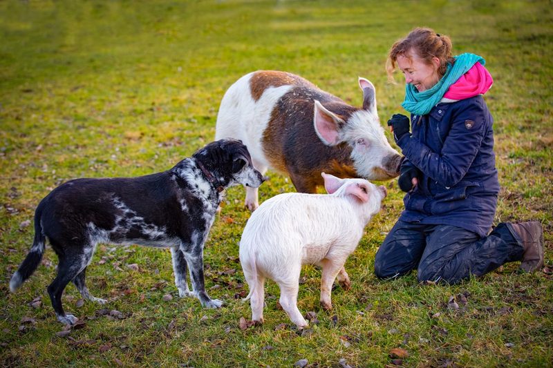 Abkehr von der Nutztierhaltung: Warum verzichten immer mehr Menschen auf tierische Produkte?