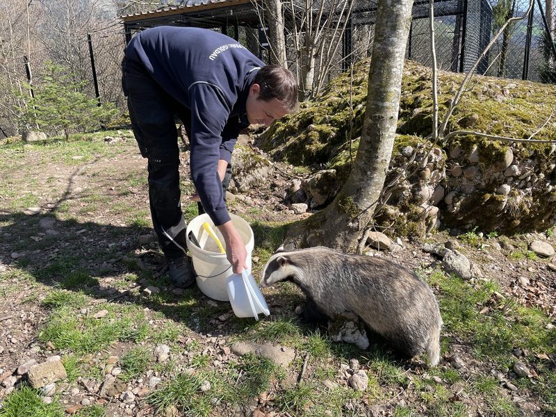 Der Tiefbaumeister mit der Zorro-Maske