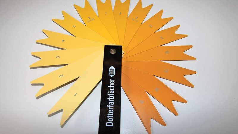 Dotterfarbfächer