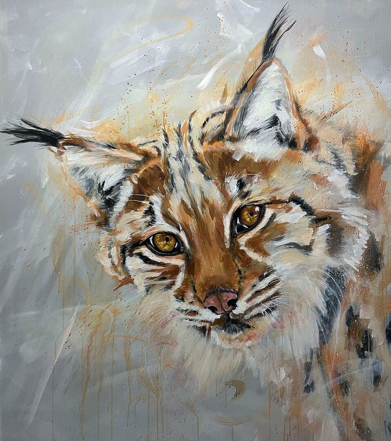Lebensecht: Der Luchs im Jurawald von Künstler André Walter.