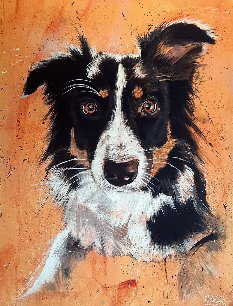 Hund