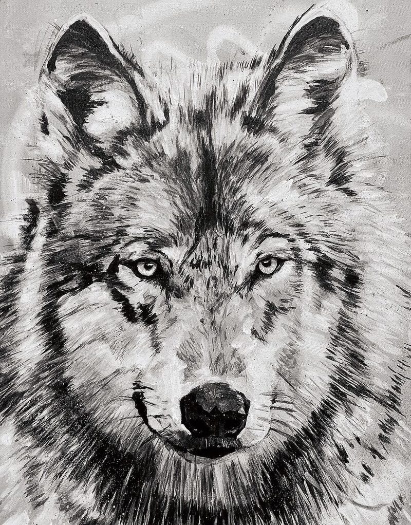 Im Angesicht des Wolfs, nach einer Naturfoto gemalt.