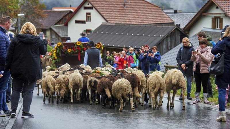 Prättigauer Alp Spektakel 2019