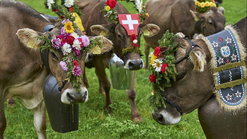 Prättigauer Alpspektakel 2019