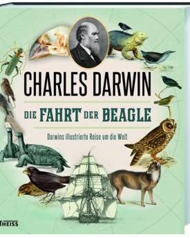 Fahrt der Beagle