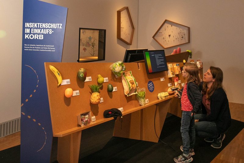 Insekten-Sonderausstellung im Naturama Aargau