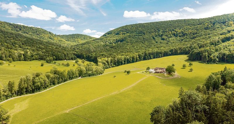 Ein Netzwerk für die Region