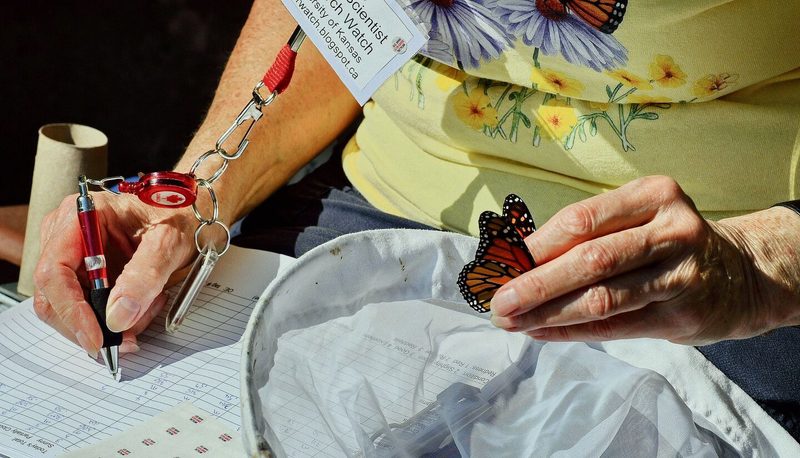Wie Citizen Science der Forschung hilft