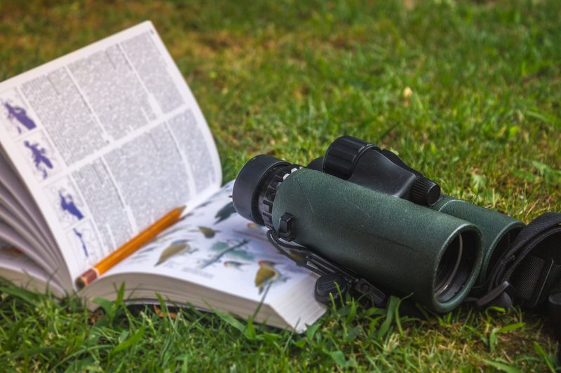 Wie Citizen Science der Forschung hilft